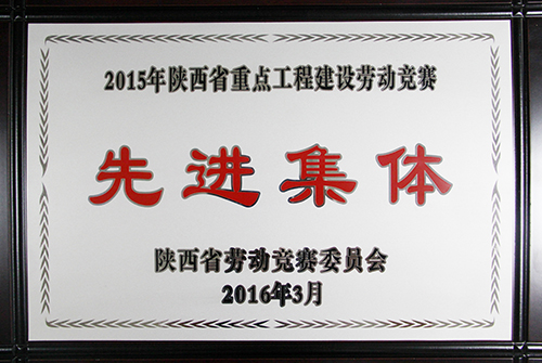 陜西省重點工程建設(shè)勞動競賽先進集體