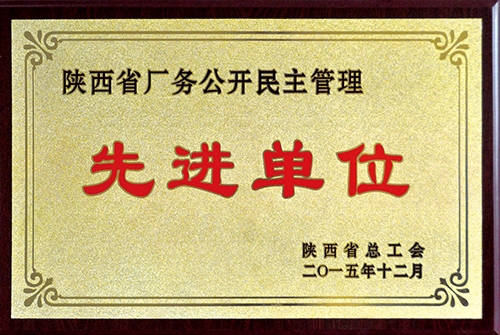 陜西省廠務(wù)公開民主管理先進(jìn)單位